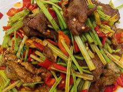 小炒黄牛肉-钟记陕南菜·煎锅鱼(红专南路店)