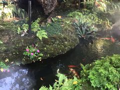 -Chom Cafe and Restaurant