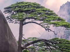 -黄山风景区