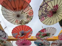 -武汉紫薇都市田园