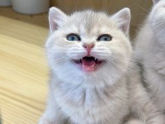 -环球汇·天誉