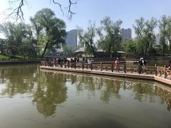 -迎泽公园