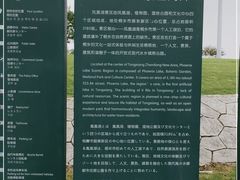 -桐乡凤凰湖