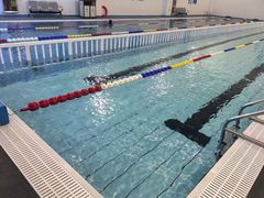 -奥体中心游泳馆