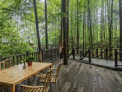 -莫干山风景区
