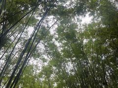 -晓港公园
