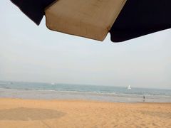 -日照世帆赛基地