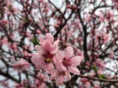 -长广溪湿地公园