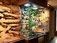 -帕帕拉兹宠物(亚洲旗舰店)