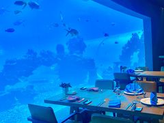 -海棠湾洲际-涛·海底餐厅·美人鱼·自助餐·海底隧道
