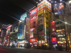 -秋叶原电器街
