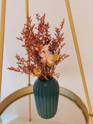 -薇兰专业脱毛连锁机构