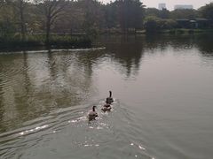 -海珠湖公园