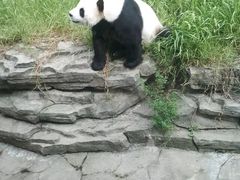 -宁波野生动物园