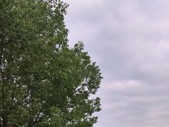 -同里国家湿地公园