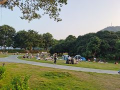 -风云岭森林公园