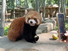 -北京野生动物园