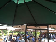 -张坝桂圆林公园
