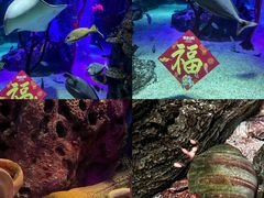 -沈阳海洋探索中心