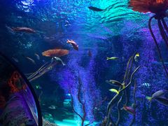 -沈阳海洋探索中心