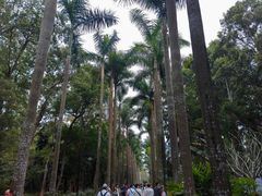 -华南国家植物园-售票处