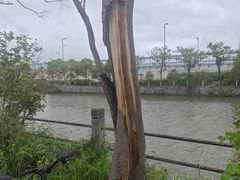 -杭州九堡客运中心