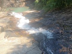 -广州白江湖森林公园