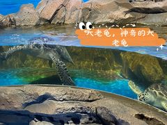 -沙沙哗啦海洋馆(华宇百花谷店)