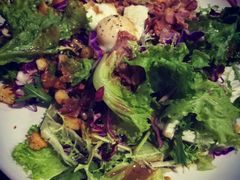 -Tubestation站点比萨(五道营店)