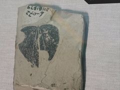 -浙江自然博物院(杭州馆)