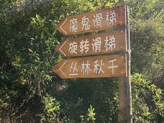 -欢乐松鼠谷
