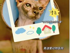 -美迦爱-动物医院·骨科·牙科·夜诊(朝阳路诊疗中心)