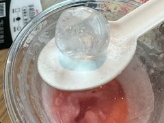 -代数学家algebraist(苏州中心店)