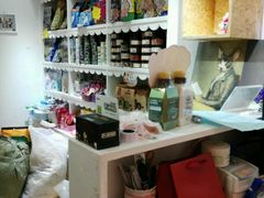 -宠伴小精灵宠物店(鼓楼店)