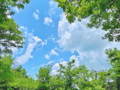 -金龙寺国家森林公园