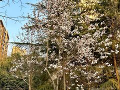 -木塔寺遗址生态公园