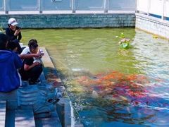 -济南方特东方神画