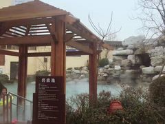 -仁爱团泊湖温泉中心