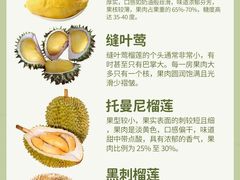 -百果园(金澄路店)