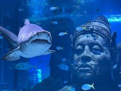 -暹罗海洋世界