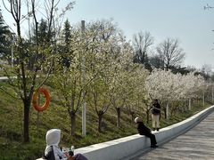 -灞河西岸滨河公园