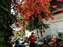 -喜洲杨记破酥粑粑