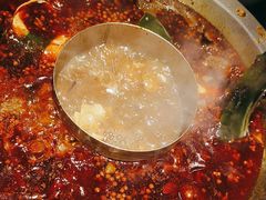 -李掌柜鲜菜火锅(移民广场店)