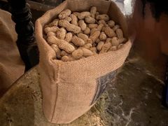 -Long Bar(莱佛士酒店)