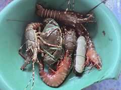 -拉威海鲜市场