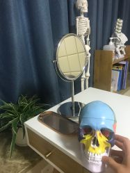 -FACE·日本小颜矫正美容整骨サロン