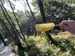 -梧桐山风景名胜区