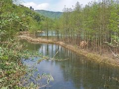 -东海大峡谷