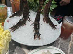 -禄婶鸡煲·打边炉