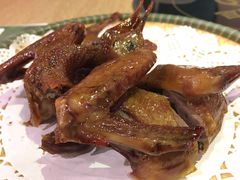 -百利鸽王(紫薇路店)